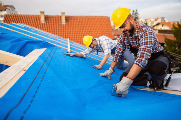 Best Chimney Flashing Repair  in Newcomerstown, OH