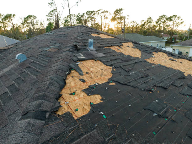 Best Roof Moss and Algae Removal  in Newcomerstown, OH